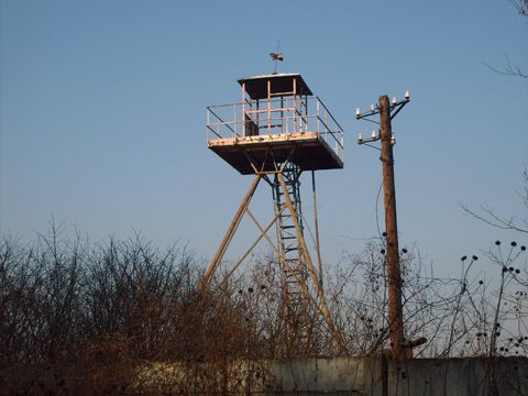 Foto 41